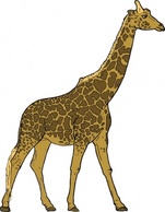 Giraffe clip art Thumbnail