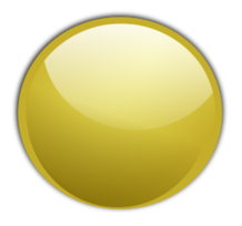 Gold Button 008