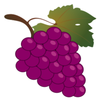 Grape