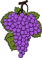 Grape Cluster clip art Thumbnail