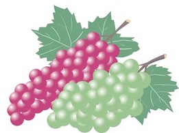 Grapes 7