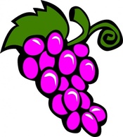 Grapes Vine clip art