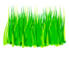 Grass Thumbnail