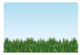 Grass - Meadow Thumbnail