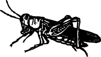 Grasshopper clip art Thumbnail