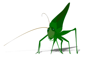 Grasshopper with shadow Thumbnail