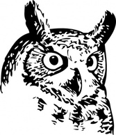 Great Owl clip art Thumbnail