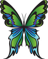 Green Butterfly Vector Thumbnail