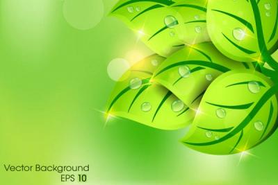 Green Leaf Spring Background Vector Thumbnail