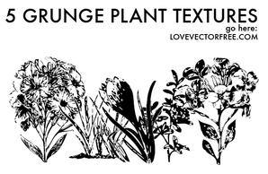 Grunge Plant Textures by LVF Thumbnail
