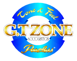 Gtzone Accoustics