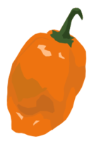 Habanero pepper