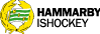 Hammarby Vector Logo Thumbnail