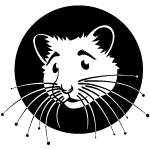 Hamster Vector Image