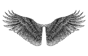 HandDrawn Wings