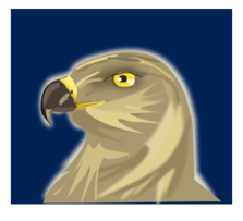 Hawk Thumbnail