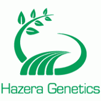 Hazera Logo