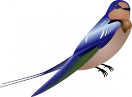 Hirundo clip art Thumbnail