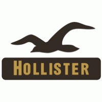 Hollister Co. Thumbnail