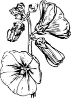 Hollyhock clip art Thumbnail