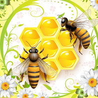 Honey And Bees Thumbnail