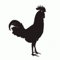 Horoz Rooster