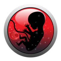 Human embryo (silhouette) Thumbnail