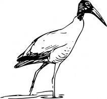 Ibis Bird Walking In Lake clip art Thumbnail
