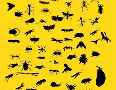 Insect silhouettes Thumbnail