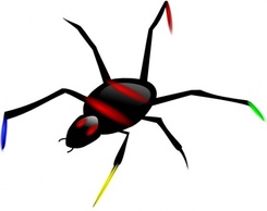 Insect Spider clip art