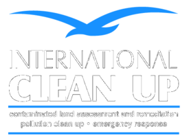 International Clean Up