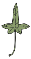 Ivy Leaf 9