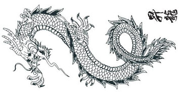 Japanese dragon free vector