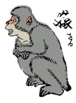 Japanese Macaque Thumbnail