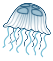Jellyfish Thumbnail