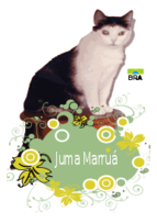 Juma MarruÃ¡ with flowers Thumbnail