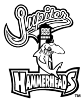 Jupiter Hammerheads