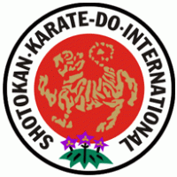 Karate Skif Mexico