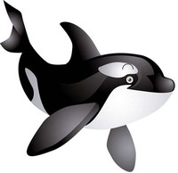 Killer whale 2