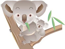 Koala 1 Thumbnail