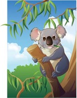 Koala 3