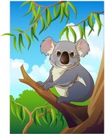 Koala 4