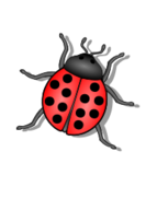 Lady Bug