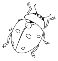 Ladybug Line Art