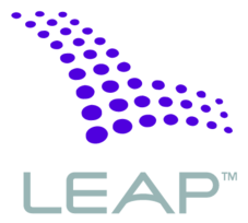 Leap Wireless