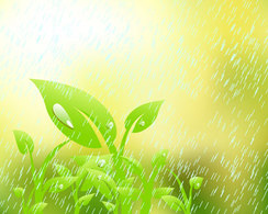 Leaves dew rain free vector Thumbnail