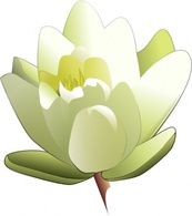 Leland Mcinnes Water Lily clip art Thumbnail