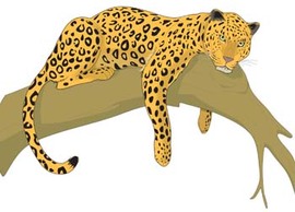 Leopard 2