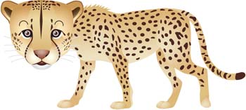 Leopard 5