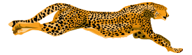 Leopard Cheetah Thumbnail